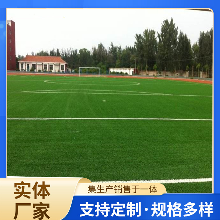绍兴市橡胶跑道人造草坪 - 方案